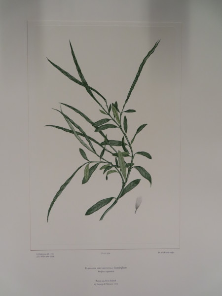image FDA-E.2916_24_20-2016-A