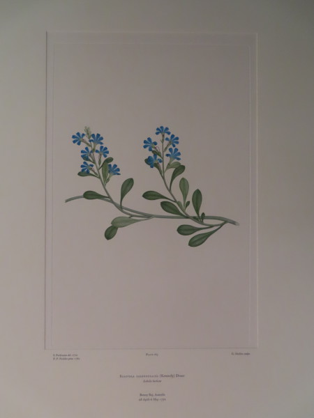 image FDA-E.2916_9_8-2016-A