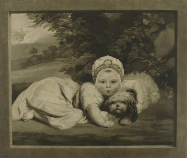 image FDA-E.1165-2014