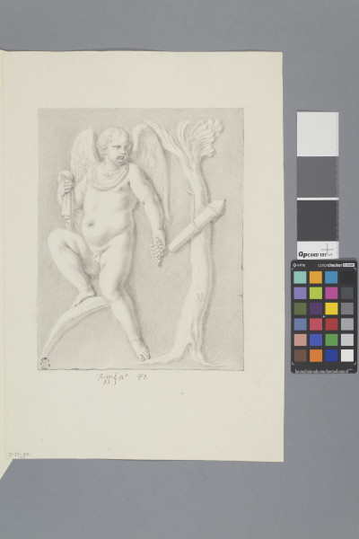 image ECL-Bm.11_83-2013