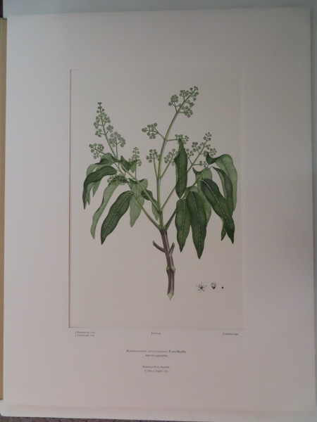 image FDA-E.2916_3_7-2016