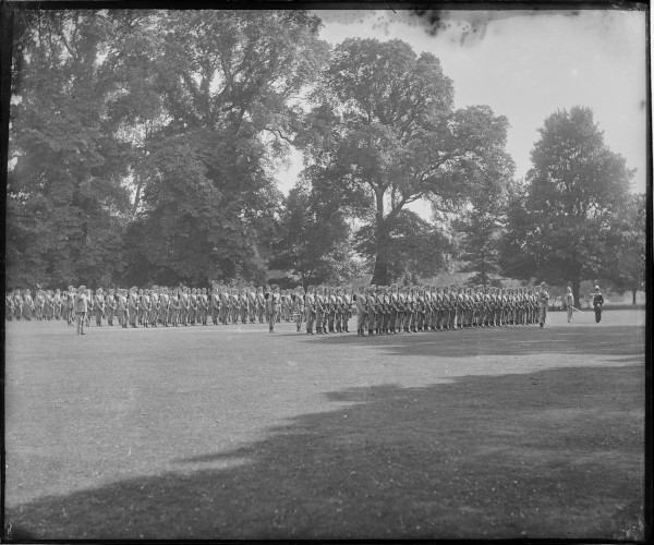 image PA-N.942-2024