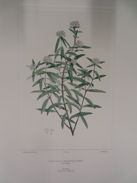 image FDA-E.2916_26_8-2016-A