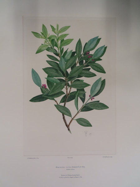 image FDA-E.2916_30_22-2016