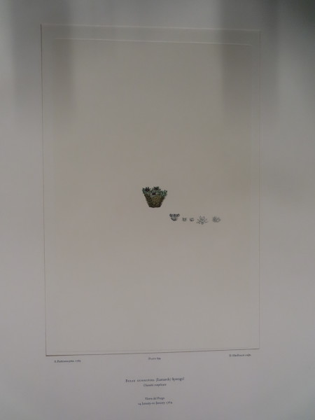 image FDA-E.2916_32_24-2016