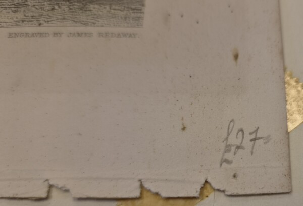 image FDA-E.3342-2026-G