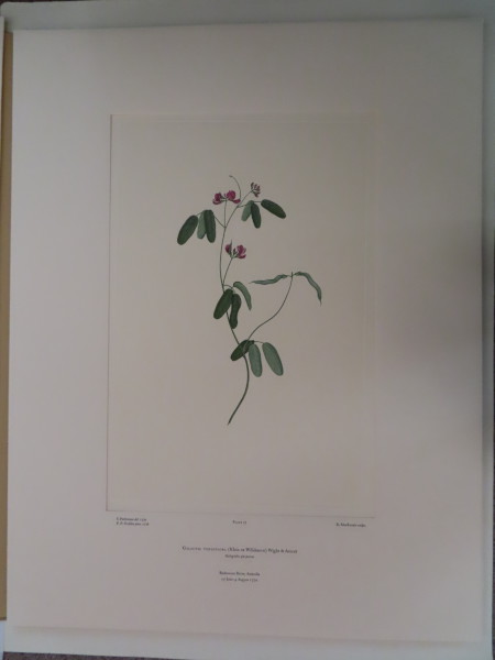 FDA-E.2916_4_13-2016 image FDA-E.2916_4_13-2016