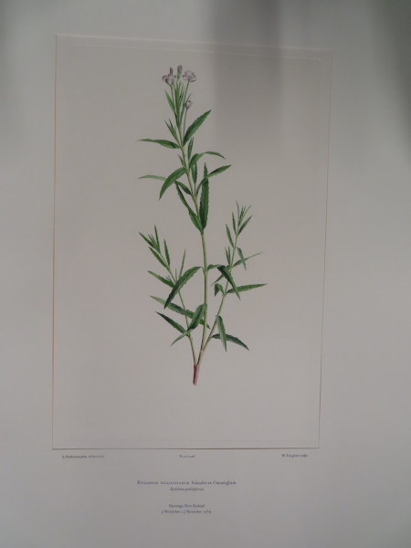 FDA-E.2916_22_5-2016 image FDA-E.2916_22_5-2016