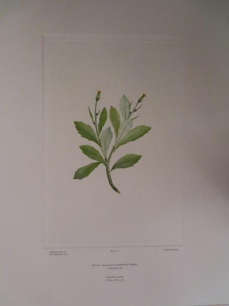 image FDA-E.2916_8_16-2016