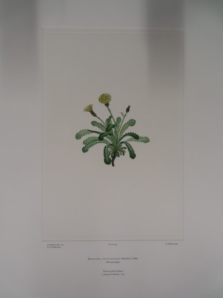 image FDA-E.2916_24_6-2016