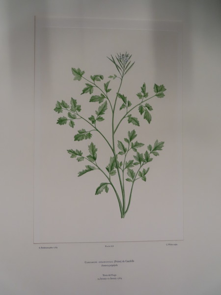 FDA-E.2916_32_8-2016-A image FDA-E.2916_32_8-2016-A