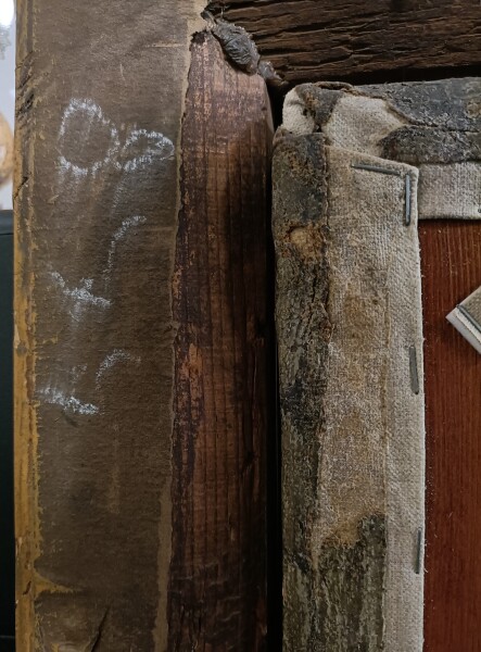 FDA-P.351-2010-I image FDA-P.351-2010-I