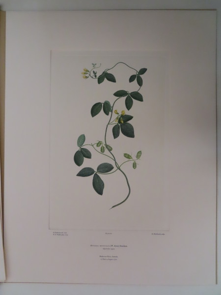 FDA-E.2916_4_18-2016 image FDA-E.2916_4_18-2016