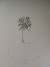 image FDA-E.2916_6_22-2016-A