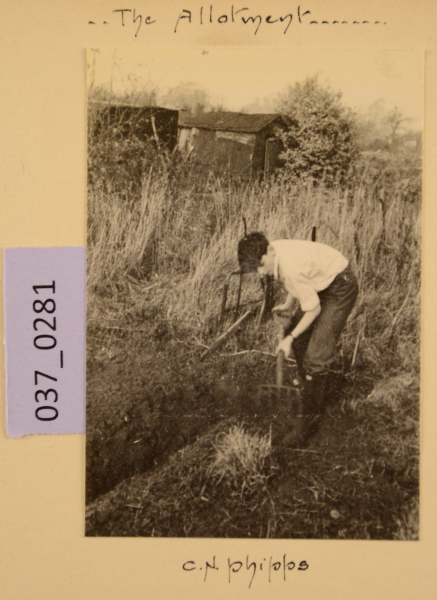 image PA-A.37_281-2012