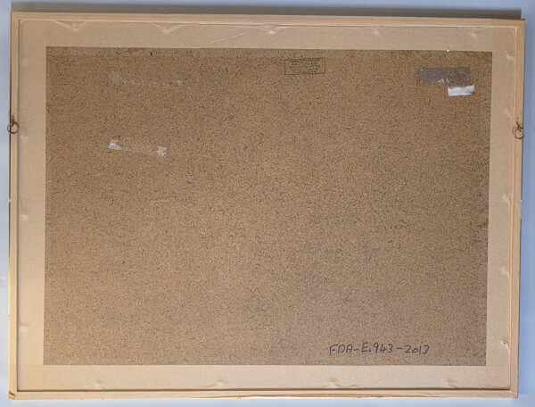 image FDA-E.943-2013-A