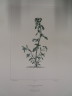 image FDA-E.2916_33_13-2016-A