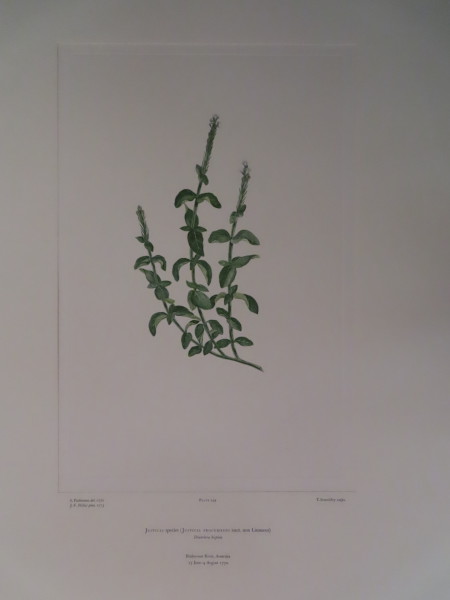 image FDA-E.2916_12_5-2016