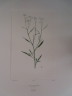 image FDA-E.2916_16_13-2016