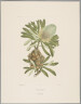 image FDA-E.2916_13_18-2016-cr
