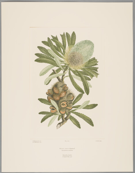 image FDA-E.2916_13_18-2016-cr
