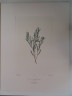 image FDA-E.2916_4_24-2016