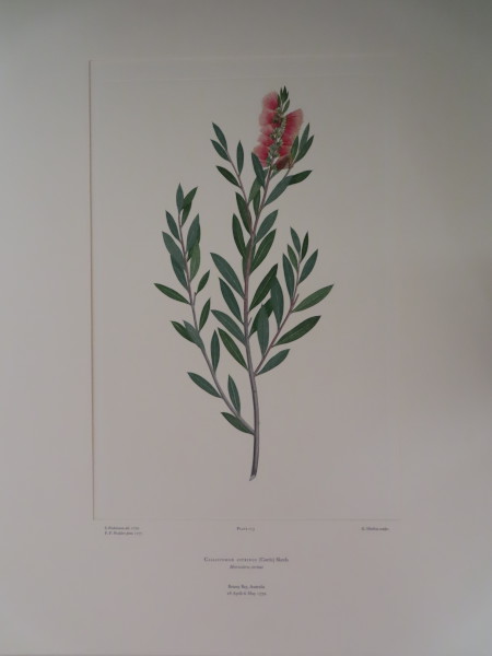 image FDA-E.2916_6_4-2016-A