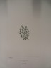 image FDA-E.2916_23_15-2016