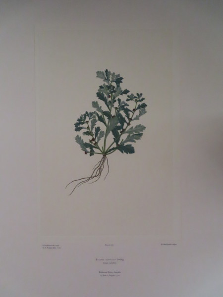 FDA-E.2916_8_8-2016-A image FDA-E.2916_8_8-2016-A