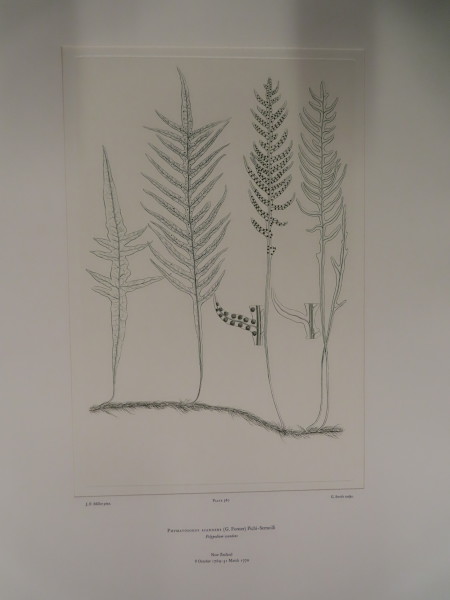 image FDA-E.2916_27_22-2016