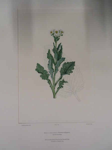 image FDA-E.2916_33_18-2016-A