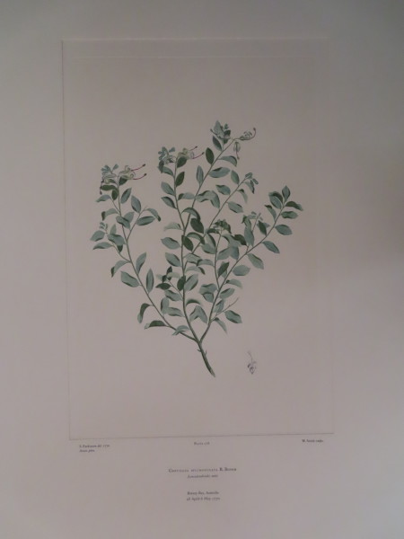 image FDA-E.2916_13_11-2016-A