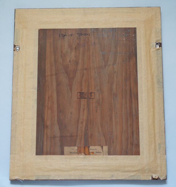 image FDA-E.975-2013-A