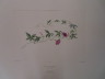 image FDA-E.2916_16_18-2016