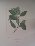 image FDA-E.2916_6_9-2016-A