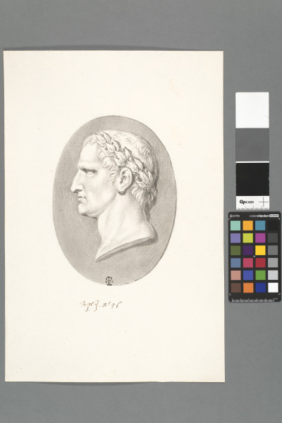 image ECL-Bn.1_56-2013