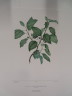 image FDA-E.2916_25_26-2016-A