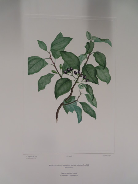 image FDA-E.2916_25_26-2016-A