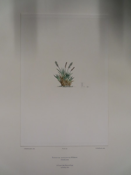 image FDA-E.2916_34_24-2016