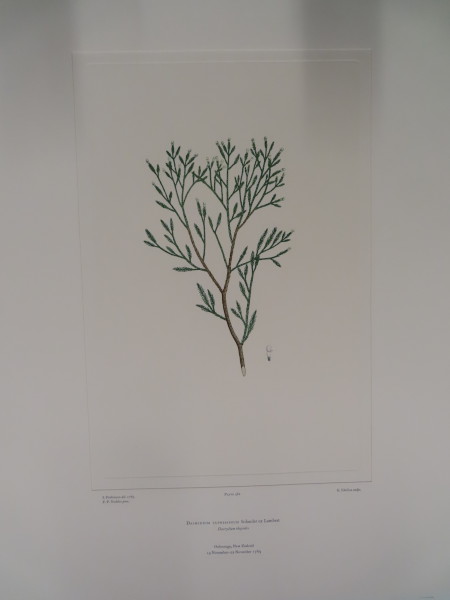 image FDA-E.2916_27_4-2016-A