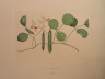 image FDA-E.2916_28_16-2016