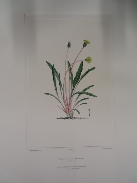 FDA-E.2916_33_22-2016 image FDA-E.2916_33_22-2016