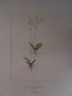 image FDA-E.2916_16_23-2016