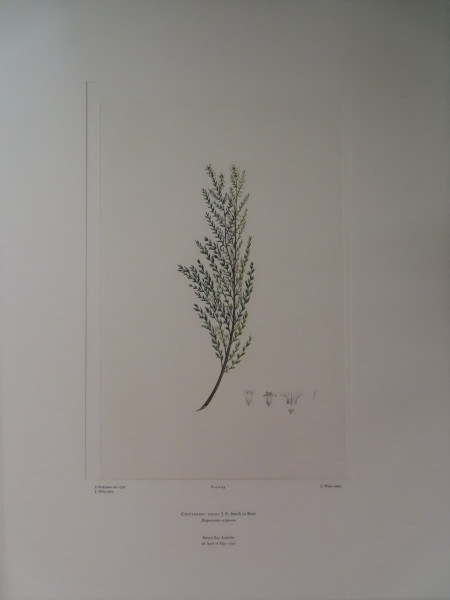 image FDA-E.2916_2_24-2016-A