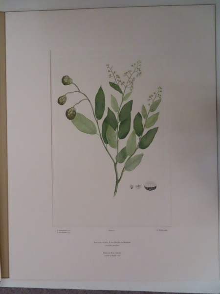FDA-E.2916_5_10-2016 image FDA-E.2916_5_10-2016