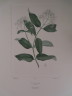 image FDA-E.2916_7_13-2016