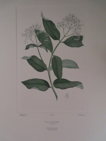 image FDA-E.2916_7_13-2016