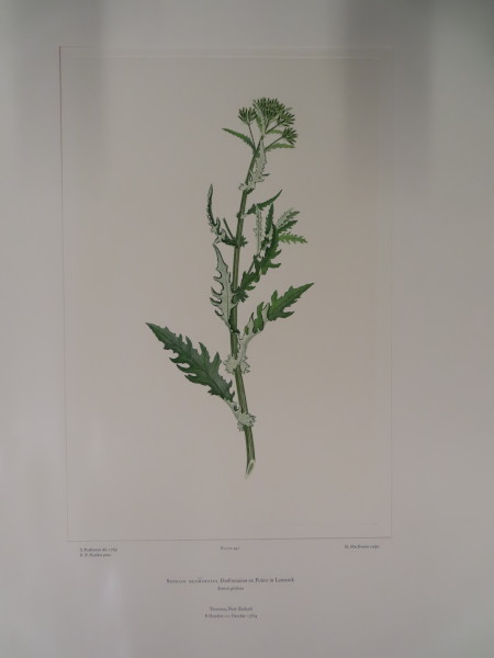 image FDA-E.2916_23_25-2016-A