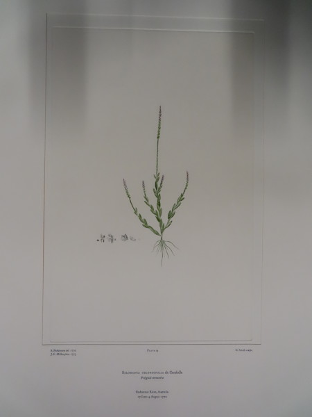 image FDA-E.2916_1_17-2016-A