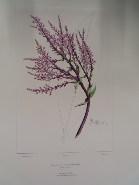 image FDA-E.2916_31_24-2016